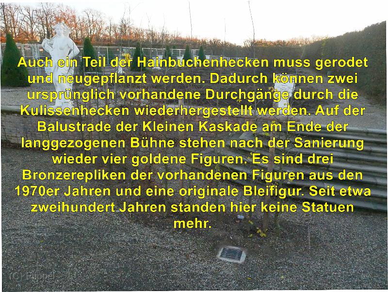 B 03.jpg